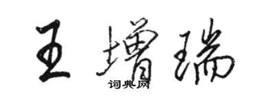 駱恆光王增瑞行書個性簽名怎么寫