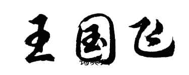 胡問遂王國飛行書個性簽名怎么寫