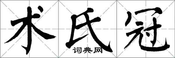 翁闓運術氏冠楷書怎么寫