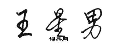 駱恆光王星男行書個性簽名怎么寫