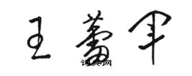 駱恆光王蕾軍草書個性簽名怎么寫