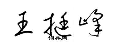 梁錦英王挺峰草書個性簽名怎么寫