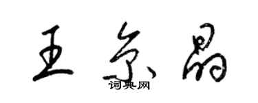 梁錦英王京晶草書個性簽名怎么寫