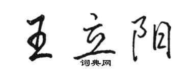 駱恆光王立陽行書個性簽名怎么寫