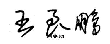 朱錫榮王良鵬草書個性簽名怎么寫
