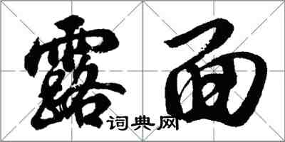 胡問遂露面行書怎么寫