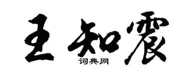 胡問遂王知震行書個性簽名怎么寫