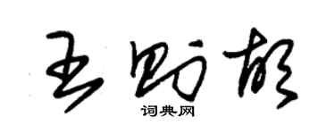 朱錫榮王則胡草書個性簽名怎么寫