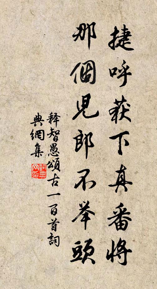 樓前梅十圍,負背花千樹 詩詞名句