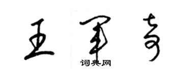 梁錦英王軍奇草書個性簽名怎么寫