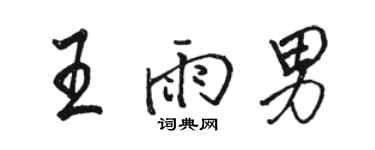 駱恆光王雨男行書個性簽名怎么寫