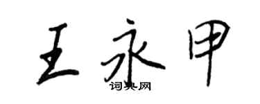 王正良王永甲行書個性簽名怎么寫