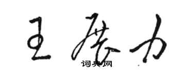 駱恆光王展力草書個性簽名怎么寫