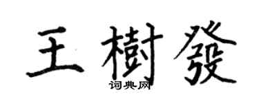 何伯昌王樹發楷書個性簽名怎么寫