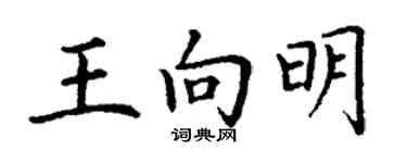 丁謙王向明楷書個性簽名怎么寫