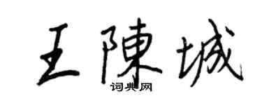 王正良王陳城行書個性簽名怎么寫