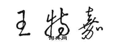 駱恆光王特嘉草書個性簽名怎么寫