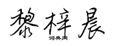 王正良黎梓晨行書個性簽名怎么寫