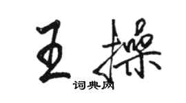 駱恆光王操行書個性簽名怎么寫