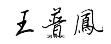 王正良王普鳳行書個性簽名怎么寫