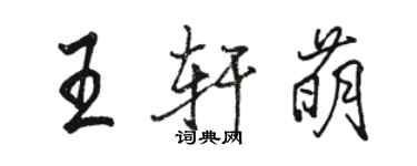 駱恆光王軒萌行書個性簽名怎么寫