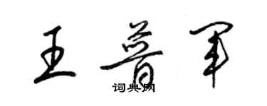 梁錦英王普軍草書個性簽名怎么寫