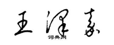 梁錦英王澤嘉草書個性簽名怎么寫