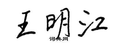 王正良王明江行書個性簽名怎么寫