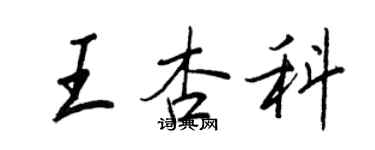 王正良王杏科行書個性簽名怎么寫