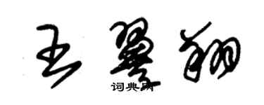 朱錫榮王翼翔草書個性簽名怎么寫