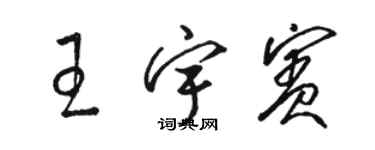 駱恆光王宇賓草書個性簽名怎么寫