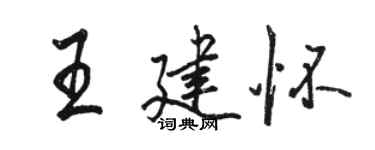 駱恆光王建懷行書個性簽名怎么寫