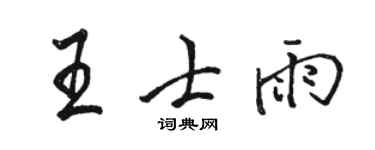 駱恆光王士雨行書個性簽名怎么寫