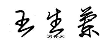 朱錫榮王生蘭草書個性簽名怎么寫