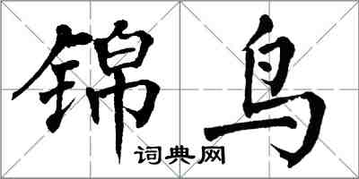 翁闓運錦鳥楷書怎么寫