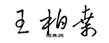 駱恆光王柏桑草書個性簽名怎么寫