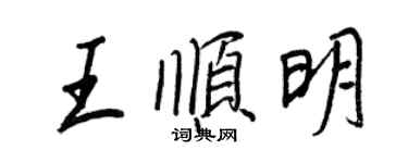 王正良王順明行書個性簽名怎么寫