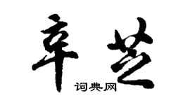 胡問遂辛芝行書個性簽名怎么寫