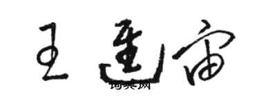 駱恆光王進宙草書個性簽名怎么寫