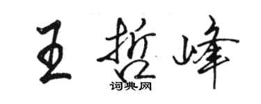 駱恆光王哲峰行書個性簽名怎么寫