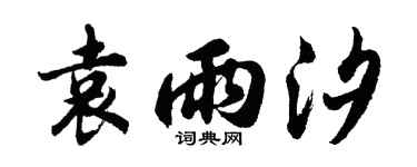 胡問遂袁雨汐行書個性簽名怎么寫