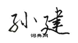 駱恆光孫建行書個性簽名怎么寫