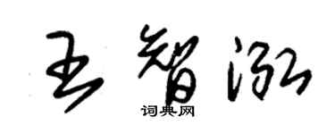 朱錫榮王智泓草書個性簽名怎么寫