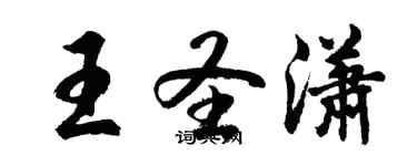 胡問遂王聖瀟行書個性簽名怎么寫