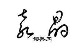 梁錦英袁晶草書個性簽名怎么寫