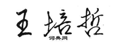 駱恆光王培哲行書個性簽名怎么寫