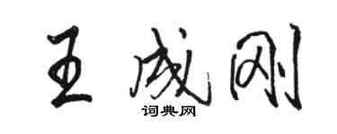 駱恆光王成剛行書個性簽名怎么寫