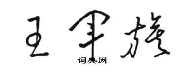 駱恆光王軍旗草書個性簽名怎么寫