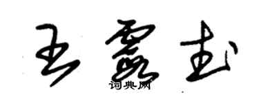 朱錫榮王霞武草書個性簽名怎么寫