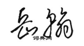 駱恆光岳翰草書個性簽名怎么寫